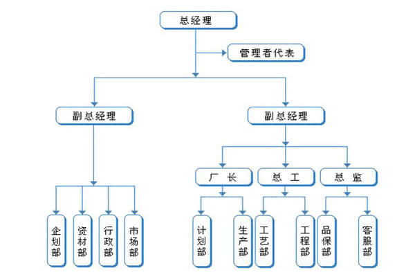 獅子王公司內(nèi)部組織結(jié)構(gòu)圖