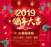 獅子王視頻聯(lián)網(wǎng)報警2019春節(jié)放假安排